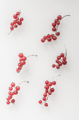 Six small bunches of red currant on a white table.