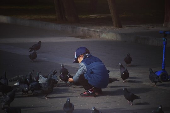 Little boy feeding pigeons on the ground outdoors