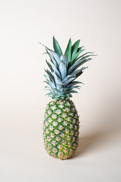 Pineapple in Studio
