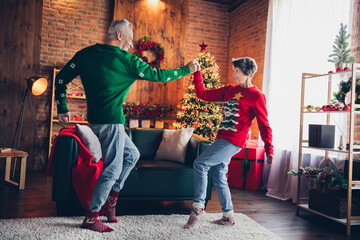 Full size portrait of two excited aged partners hold hands have fun dancing evergreen decoration lights indoors