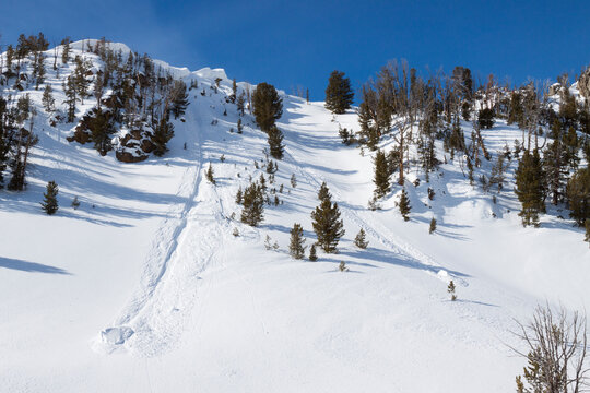 Two large sections of a cornice carved a slope in the Beehive Basin near Big Sky, Montana.