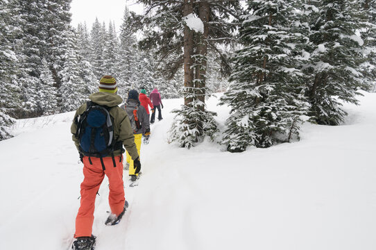 A Group Of Adults Snowshoeing On A Snowy Day Near Molas Pass, Silverton, Colorado.