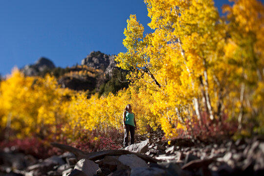 A young woman hiking stops to enjoy the amazing fall colors in Colorado.