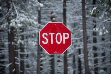 Stop sign against forest in winter