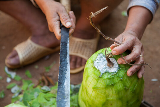 Hands of person preparing melon with machete, Ban Huay Phouk, Phongsaly, Laos