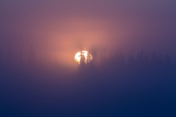 Trees silhouetted in orange glow at sunrise through frozen fog