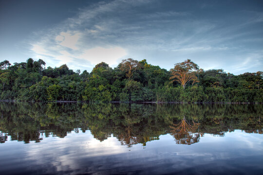Amazon jungle lake, Peru