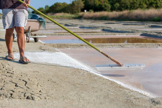 Salt harvest, Les&Acirc;&nbsp;Portes-en-Re, Ile&Acirc;&nbsp;de&Acirc;&nbsp;Re, Nouvelle-Aquitaine&Acirc;&nbsp;, France