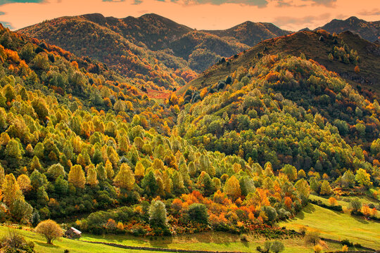The Natural Park of Fuentes del Narcea, Dega&Atilde;&plusmn;a and Ibias is a natural park located in Asturias, Spain. It was declared a Natural Park in 2002. It is distributed through the territ