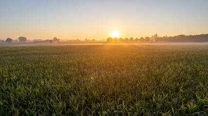 Gloomy dawn in gold field of grass and rural road. High quality photo © Bjorn B