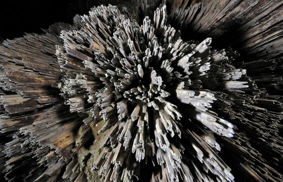 The giant caves of Mulu National Park, Sarawak, Borneo, Malaysia