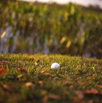 Golf ball laying in the grass.