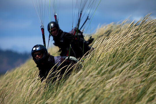 Two paragliders in tall grassy dunes on a sunny day.