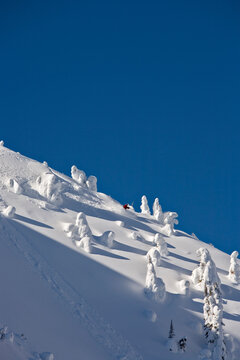 person skiing on ridge with snow covered trees, Valhalla Mountain Touring Lodge, British Columbia, Canada