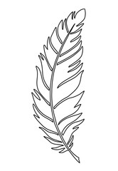 Black feather outline, illustration over a transparent background, PNG image