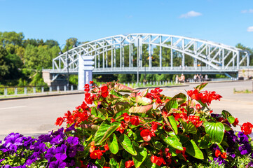Flowers against the background of a steel bridge on the Msta river in Borovichi, Russia
