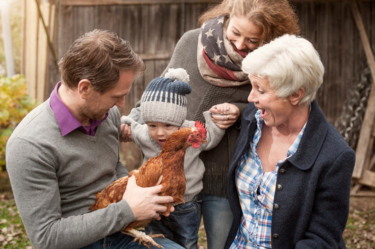Family with chickens bird sitting in poultry farm, Bavaria, Germany