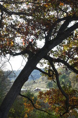 Autumn leaves and color in the Southwest Wisconsin countryside.
