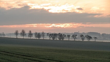 misty morning in a czech countryside landscape