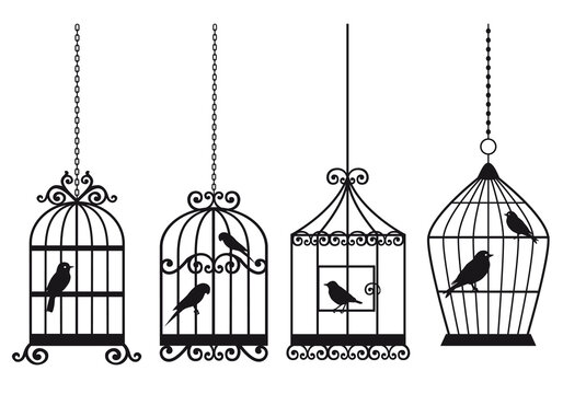 Vintage birdcages with birds, illustration over a transparent background, PNG image