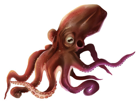 Illustration of octopus in traditional style