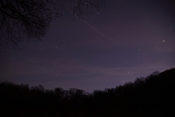 forest sky at night with stars and tree top silhouettes in the background