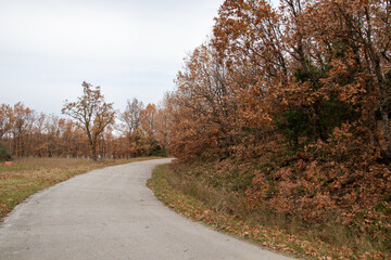 road in autumn