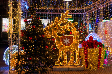Fototapeta premium Illuminated Christmas deer at night. Decoration for Christmas and New Years holidays in a city park