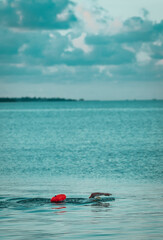 Fototapeta na wymiar swimmer on the beach exercises miami 