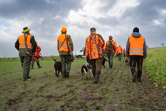 Herbstzeit - Jagdzeit: J&auml;ger und J&auml;gerinnen mit Jagdhunden auf den Feldern auf jagd.