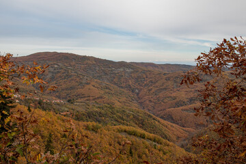 autumn landscape in the mountains