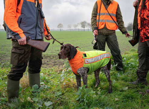 Die J&auml;ger stehen am Feldrand mit Schrotflinten in Signalkleidung, auch der Jagdhund tr&auml;gt ein Signalleibchen.