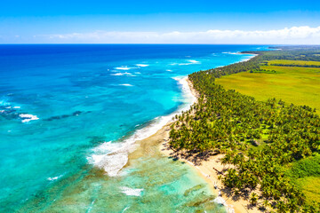 Tropical summer beach with coconut palm trees background. Aerial drone idyllic turquoise sea vacation background. Dominican Republic.