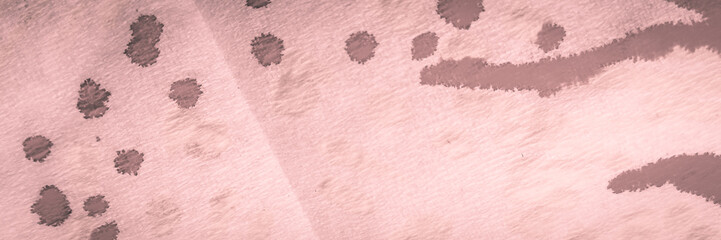 Animal Leopard Pattern. Lilac Exotic Texture.