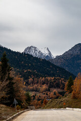 mountain road in the mountains