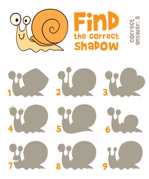 Snail. Find the correct shadow. Educational game for children. Cartoon vector illustration. Isolated on white background