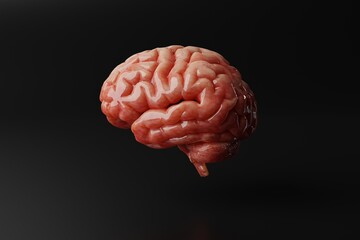 Brain on a dark background. Medical concept, brain diseases, mental problems. Operations and treatment of the brain. 3d rendering, 3d illustration.