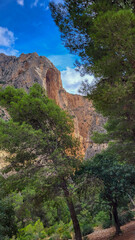 The Kings Little Path. The Famous Walkway Along the Steep Walls of a Narrow Gorge in El Chorro.