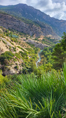 Fototapeta na wymiar El Caminito Del Rey, The Kings Little Path, Malaga Province, Beautiful Views of El Chorro Gorge, Ardales, Malaga, Spain