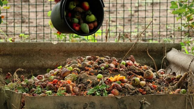 Organic waste falling from a bucket into a compost pit. Bio-waste recycling. Compost bin with organic waste. Bio food waste composting bin. Biodegradable material, organic recycling concept