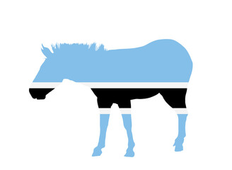 Botswana flag over zebra vector silhouette illustration isolated on white background. High detailed. Country in Africa, South Africa territory state. Botswana flag over wild national animal symbol.