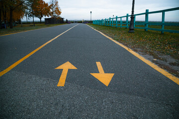 Bikeway with special sign lines on the pavement. New Cycle track with fallen yellow leaves.