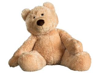Old teddy bear isolated against white - Powered by Adobe