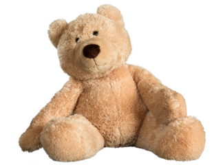 Old teddy bear isolated against white