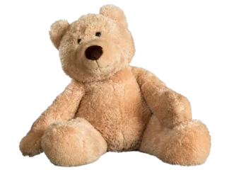 Foto op Canvas Old teddy bear isolated against white © steheap