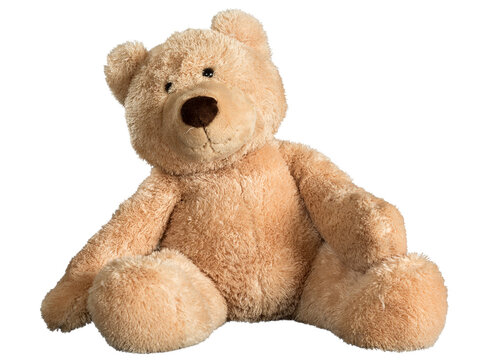 Old teddy bear isolated against white