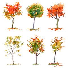 Autumn trees. Set. Drawing with watercolor. Isolated on white background