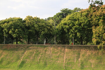 Quinta da Boa Vista Landscape Image