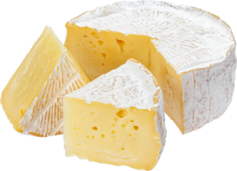 Camembert cheese isolated
