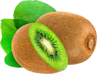 Fototapeta premium Kiwi fruit isolated